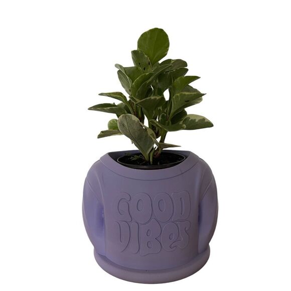 Lavender “Good Vibes” Sweater Planter - Spread Positivity with Sustainable Style - Picture 6 of 8